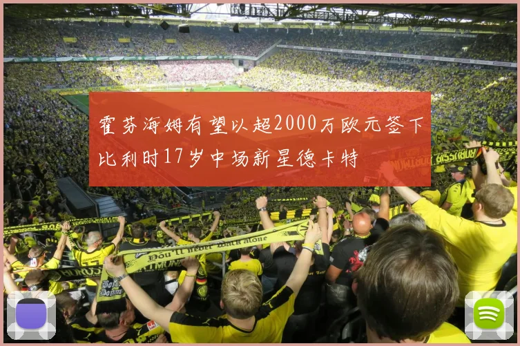 霍芬海姆有望以超2000万欧元签下比利时17岁中场新星德卡特